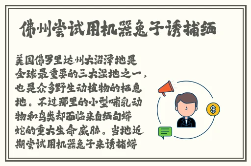 病勤楼栋第一季观看星辰
